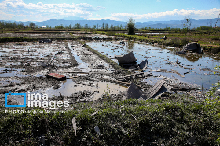 آثار حمله هوایی به روستای شفت گیلان در پی حمله متجاوزانه دشمن آمریکایی صهیونیستی به منطقه مسکونی در روستای عثماوندان از توابع شهرستان شفت استان گیلان ۶ نفر شهید و همچنین پنج منزل مسکونی کامل تخریب شده