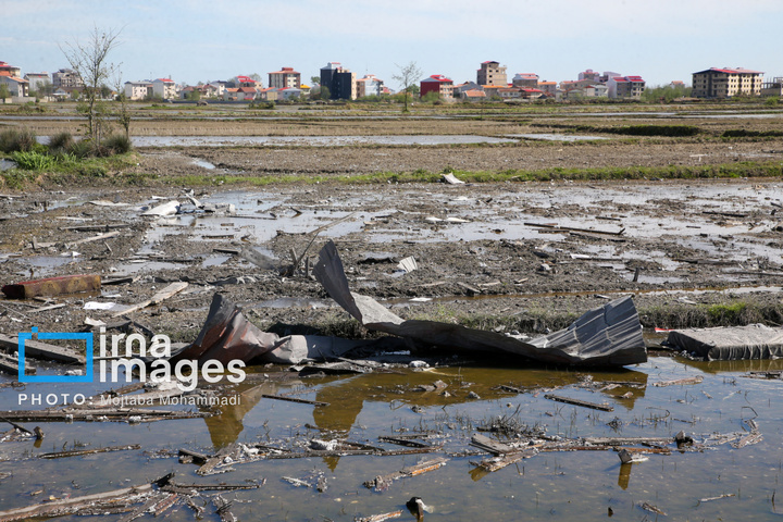آثار حمله هوایی به روستای شفت گیلان در پی حمله متجاوزانه دشمن آمریکایی صهیونیستی به منطقه مسکونی در روستای عثماوندان از توابع شهرستان شفت استان گیلان ۶ نفر شهید و همچنین پنج منزل مسکونی کامل تخریب شده