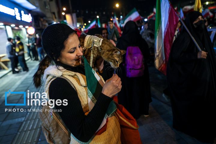 دسته پرچم داران ایران