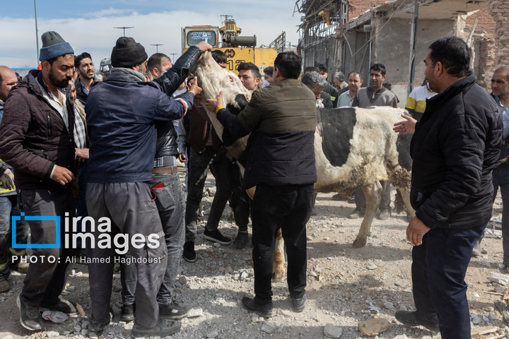 آثارحمله آمریکا و رژیم صهیونیستی به واحدهای دامداری و تجاری در خسروشهر