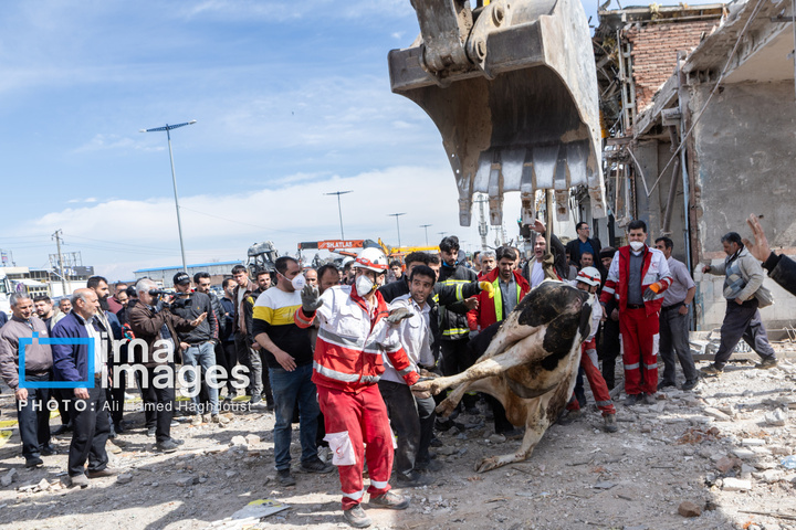 آثارحمله آمریکا و رژیم صهیونیستی به واحدهای دامداری و تجاری در خسروشهر