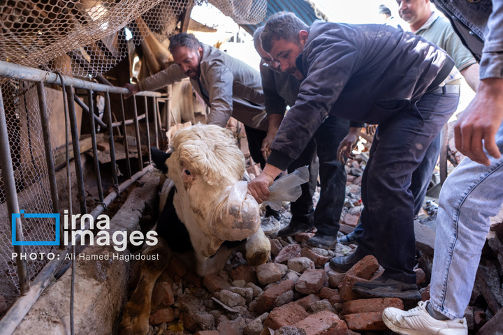 آثارحمله آمریکا و رژیم صهیونیستی به واحدهای دامداری و تجاری در خسروشهر