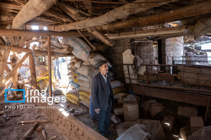 آثارحمله آمریکا و رژیم صهیونیستی به واحدهای دامداری و تجاری در خسروشهر