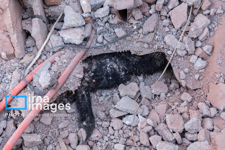 آثارحمله آمریکا و رژیم صهیونیستی به واحدهای دامداری و تجاری در خسروشهر