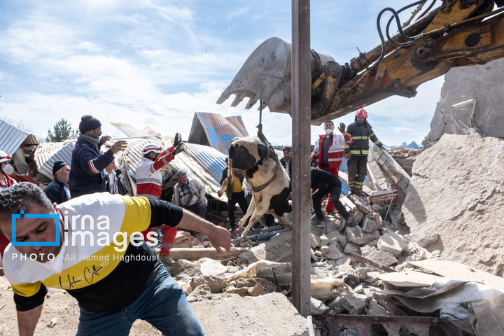 آثارحمله آمریکا و رژیم صهیونیستی به واحدهای دامداری و تجاری در خسروشهر