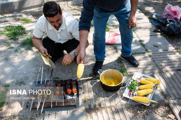 سیزده‌بدر زیر سایه جنگ؛ از آشتی با طبیعت تا بیداری ملی