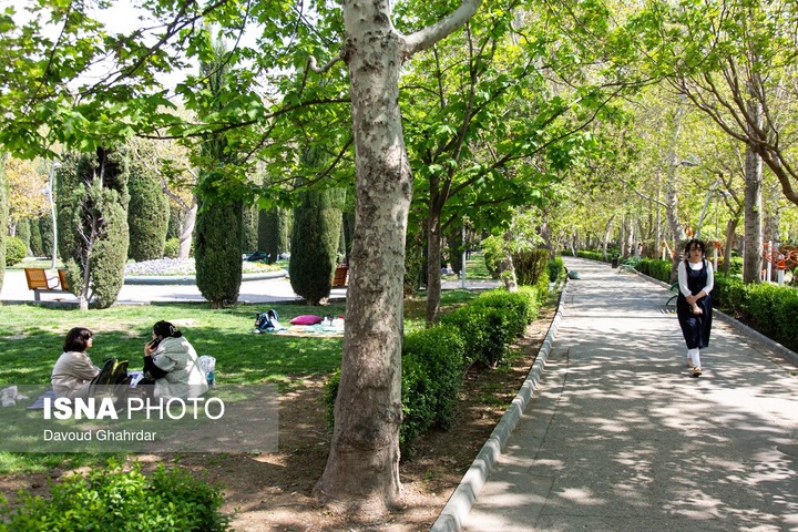 سیزده‌بدر زیر سایه جنگ؛ از آشتی با طبیعت تا بیداری ملی