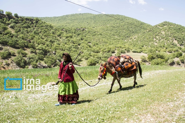 «برنو» نماد ایستادگی عشایر مقابل دشمن