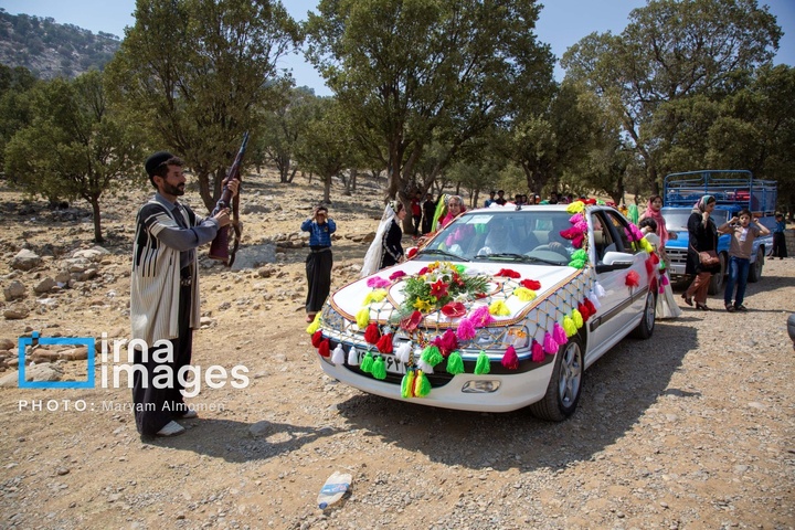 «برنو» نماد ایستادگی عشایر مقابل دشمن