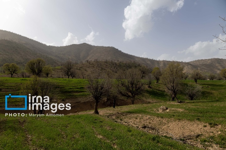 در جست و جوی خلبان آمریکایی
