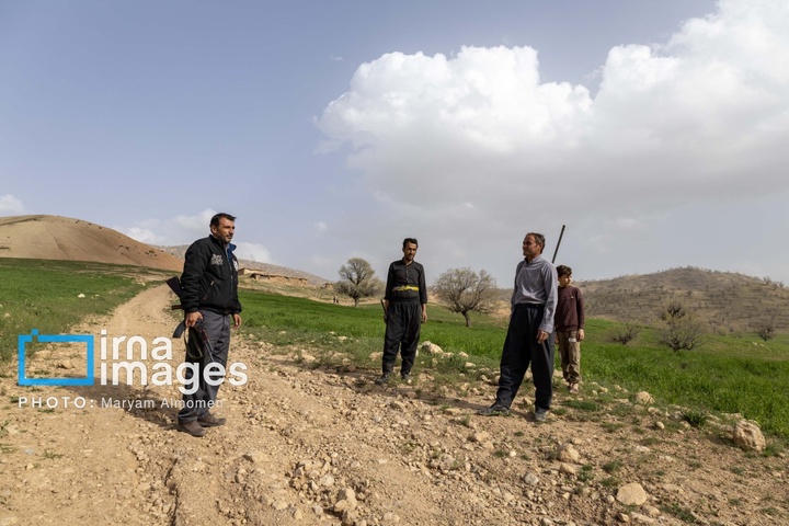 در جست و جوی خلبان آمریکایی