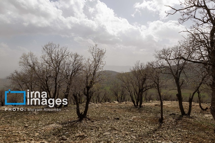 در جست و جوی خلبان آمریکایی