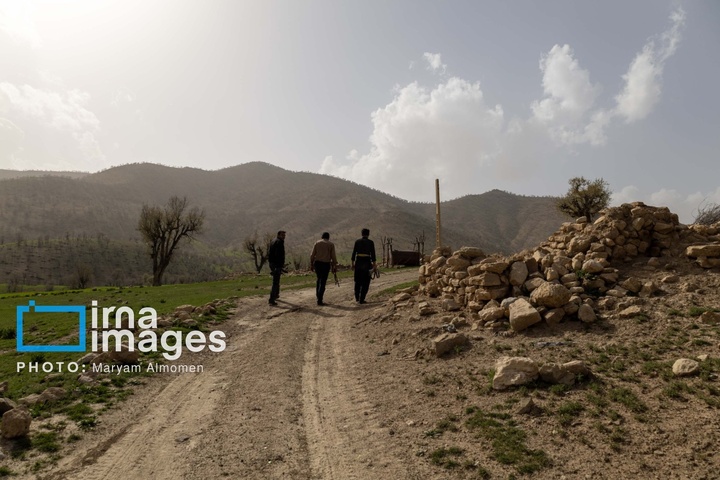 در جست و جوی خلبان آمریکایی