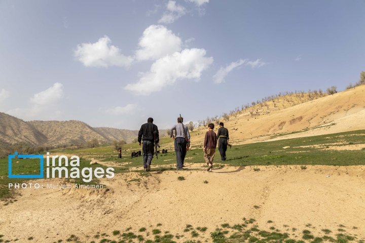 در جست و جوی خلبان آمریکایی