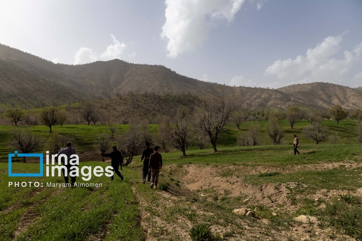 در جست و جوی خلبان آمریکایی