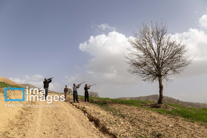 در جست و جوی خلبان آمریکایی