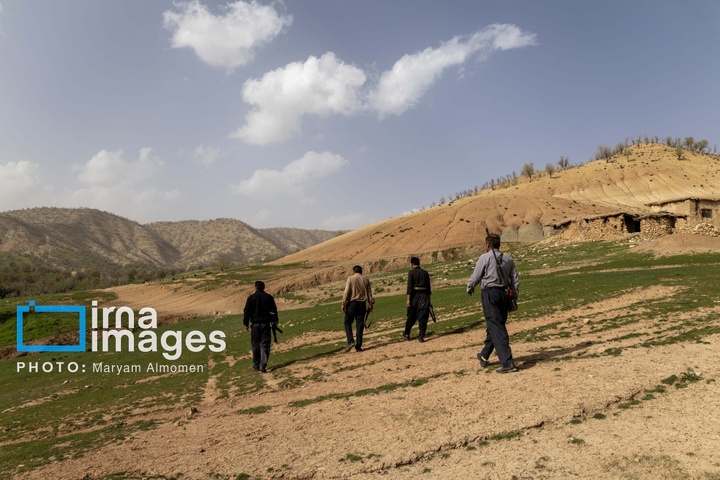 در جست و جوی خلبان آمریکایی