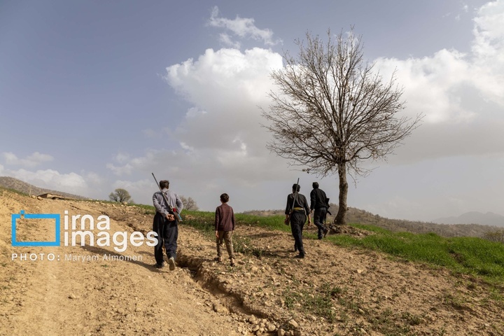 در جست و جوی خلبان آمریکایی