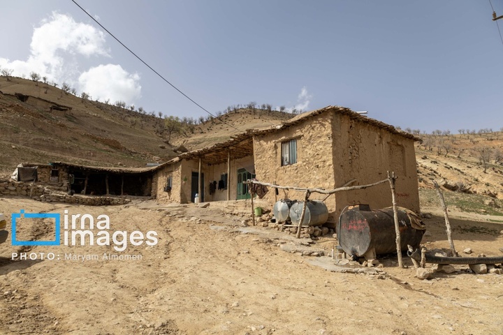 در جست و جوی خلبان آمریکایی