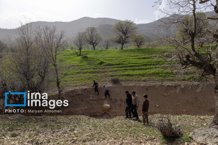 در جست و جوی خلبان آمریکایی