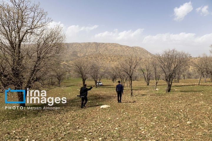 در جست و جوی خلبان آمریکایی