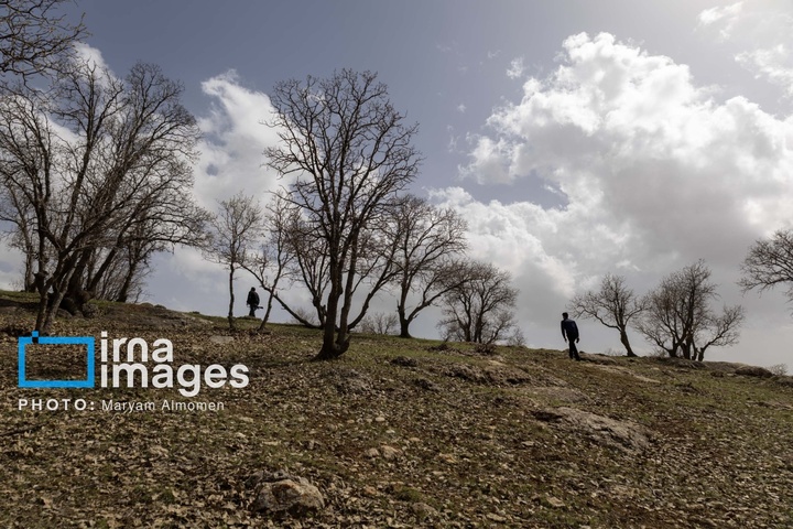 در جست و جوی خلبان آمریکایی