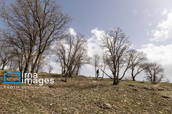 در جست و جوی خلبان آمریکایی