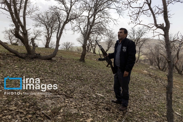 در جست و جوی خلبان آمریکایی