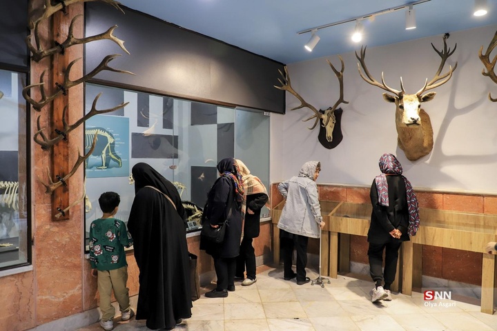 تور گردشگری هموطنان آسیب دیده از جنگ «شهروندان افتخاری گرگان»