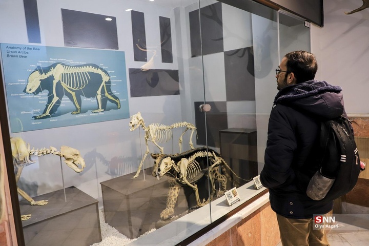 تور گردشگری هموطنان آسیب دیده از جنگ «شهروندان افتخاری گرگان»