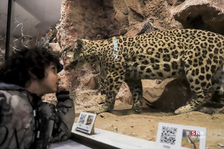 تور گردشگری هموطنان آسیب دیده از جنگ «شهروندان افتخاری گرگان»
