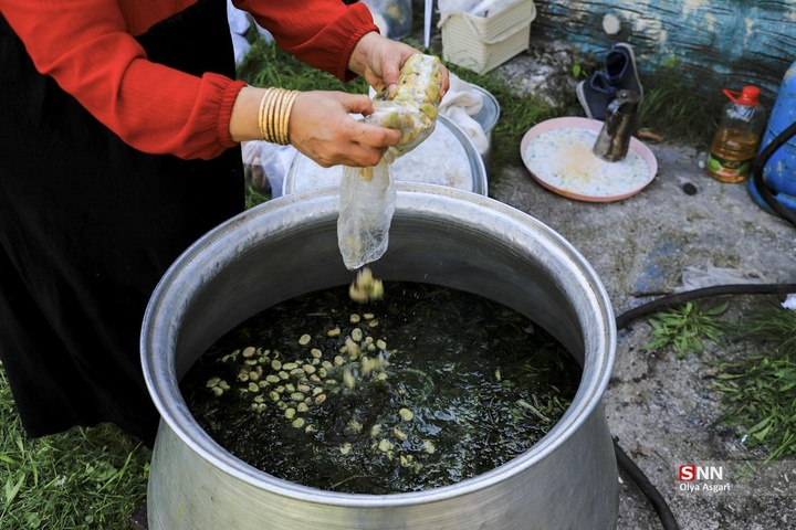 تور گردشگری هموطنان آسیب دیده از جنگ «شهروندان افتخاری گرگان»