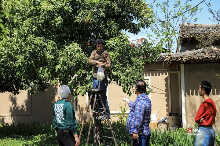 تور گردشگری هموطنان آسیب دیده از جنگ «شهروندان افتخاری گرگان»