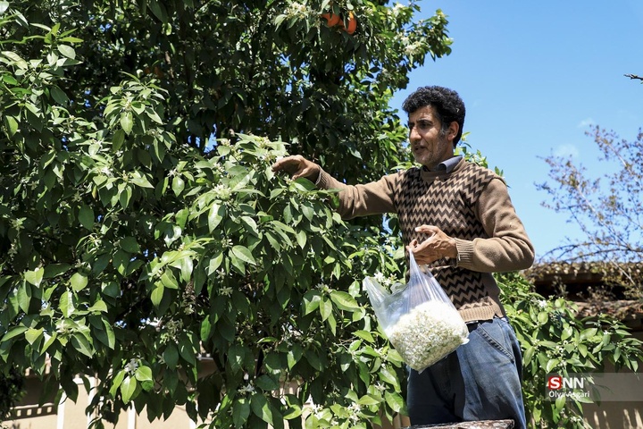 تور گردشگری هموطنان آسیب دیده از جنگ «شهروندان افتخاری گرگان»