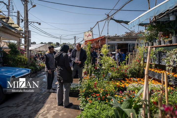 تهران ایستاده ادامه می‌دهد
