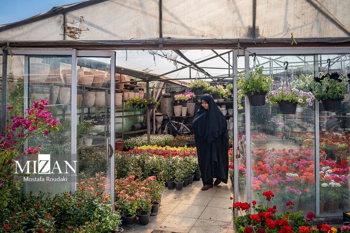 تهران ایستاده ادامه می‌دهد