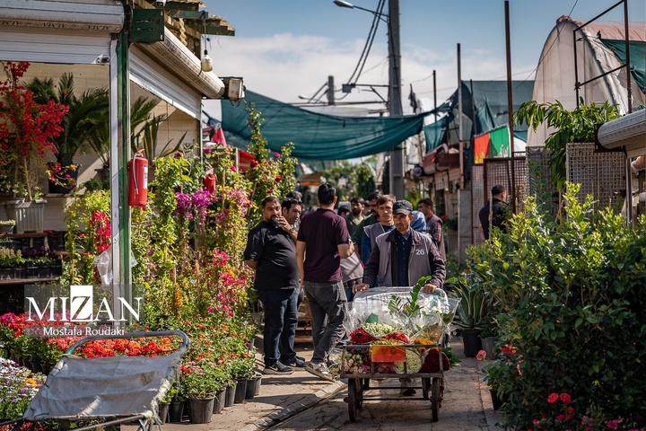 تهران ایستاده ادامه می‌دهد