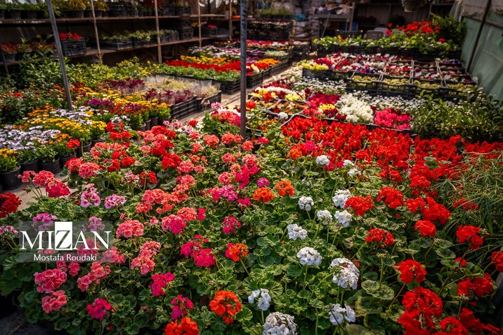 تهران ایستاده ادامه می‌دهد