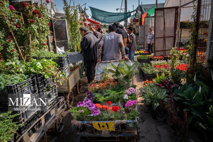 تهران ایستاده ادامه می‌دهد