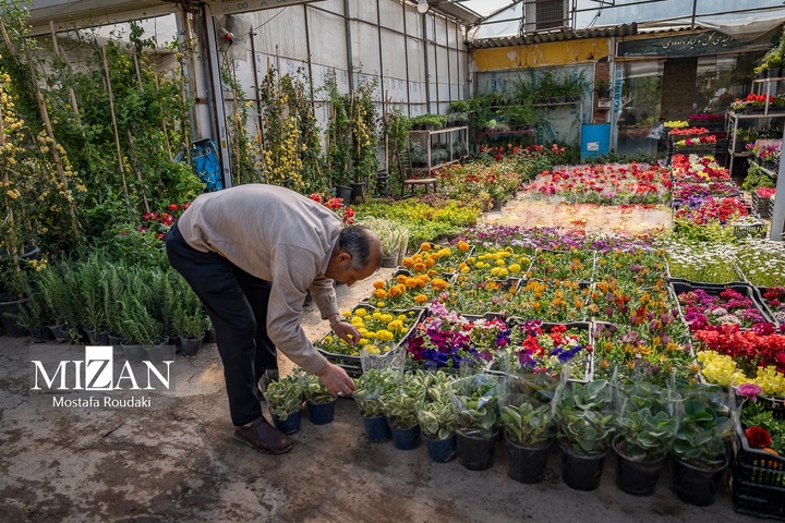 تهران ایستاده ادامه می‌دهد