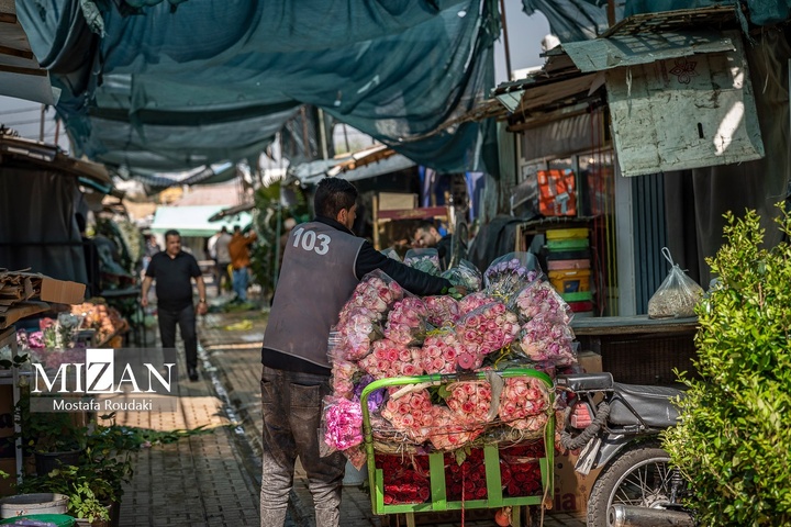تهران ایستاده ادامه می‌دهد