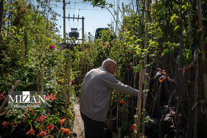 تهران ایستاده ادامه می‌دهد