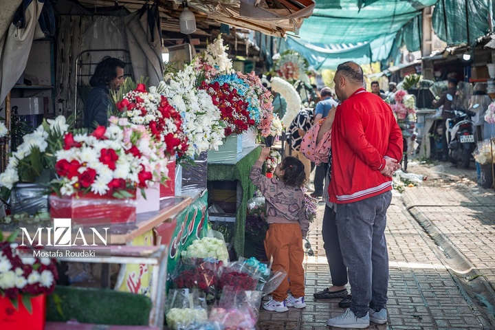تهران ایستاده ادامه می‌دهد