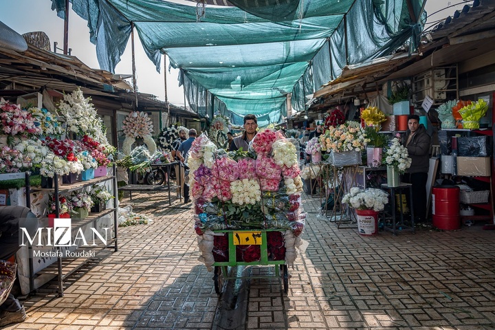 تهران ایستاده ادامه می‌دهد