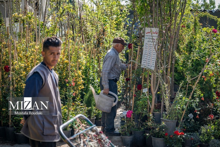 تهران ایستاده ادامه می‌دهد