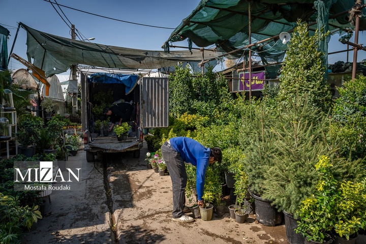 تهران ایستاده ادامه می‌دهد