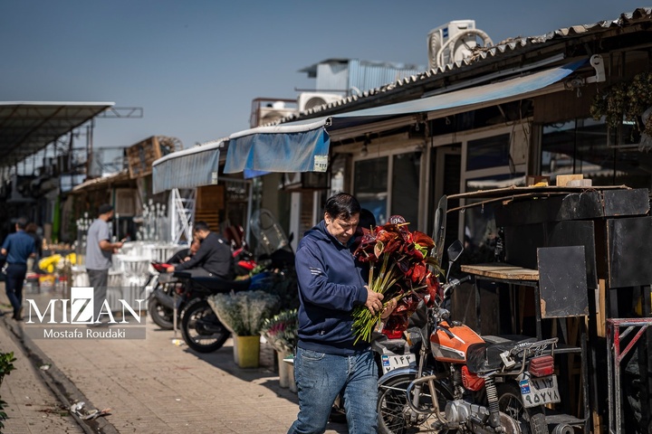 تهران ایستاده ادامه می‌دهد