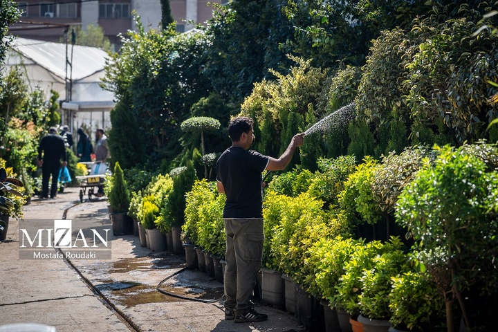 تهران ایستاده ادامه می‌دهد