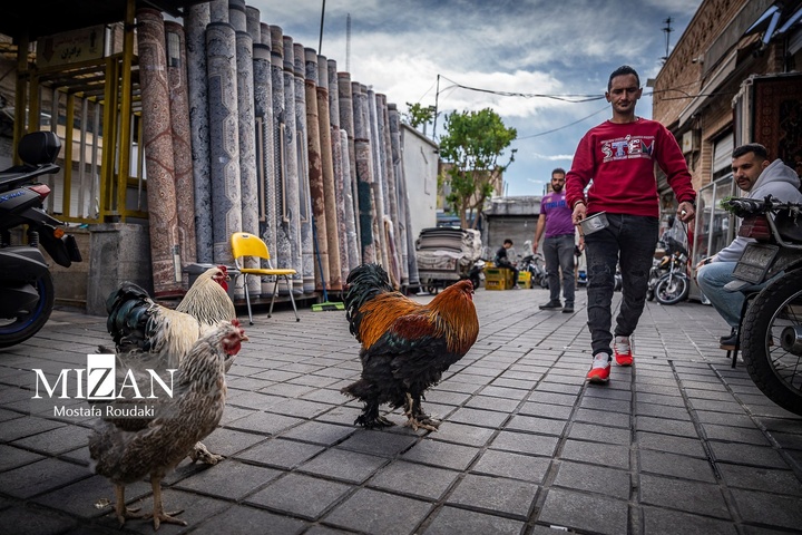تهران ایستاده ادامه می‌دهد