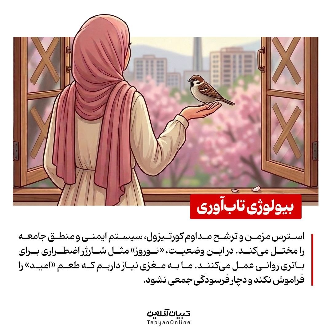 شادی؛ سپر روان در روزهای جنگی